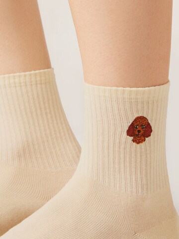 CALZEDONIA Socks 'Dog' in Yellow