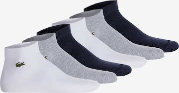 LACOSTE Socks in Mixed colors: front