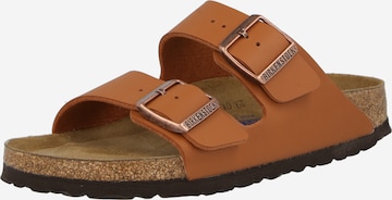 BIRKENSTOCK Pantolette 'Arizona' i brun: framsida