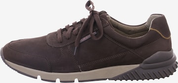 Pius Gabor Sneakers laag in Bruin