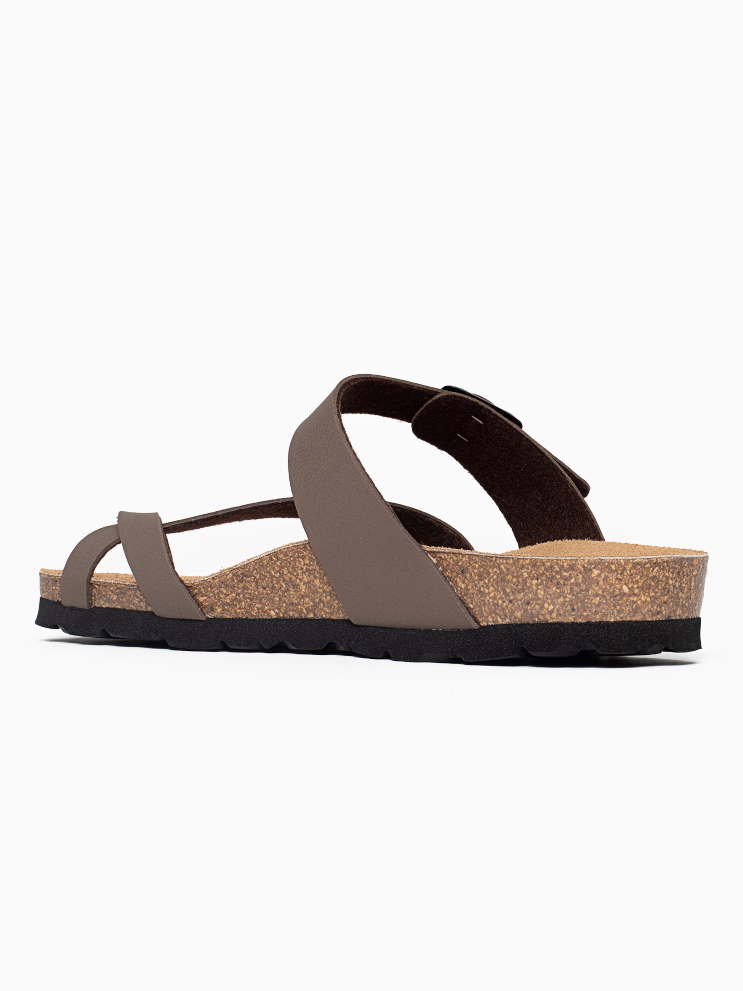 Bayton Plätu 'Diane', värv pruun