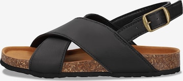Sandales 'Lanta' nae Vegan Shoes en noir : devant