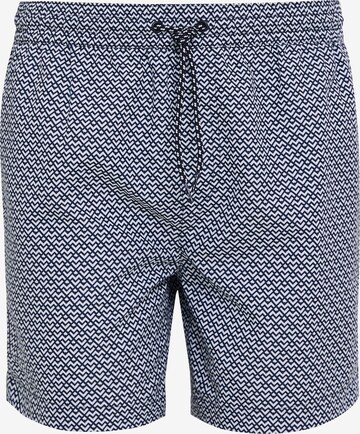 Threadbare Board Shorts 'Fossil' in Blue: front