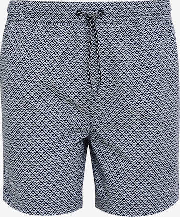 Threadbare Board Shorts 'Fossil' in Blue: front