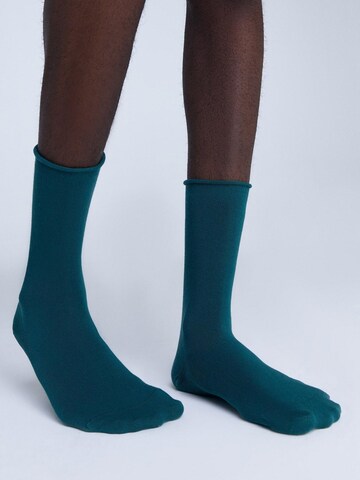 Albero Natur Socks 'Bio-Baumwoll-Socken mit Rollrand Unisex – 6er Pack' in Green