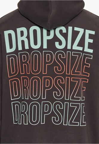 Dropsize Sweatshirt i brun