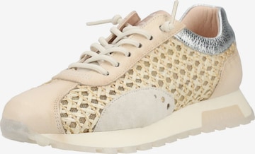 Baskets basses Hispanitas en beige : devant