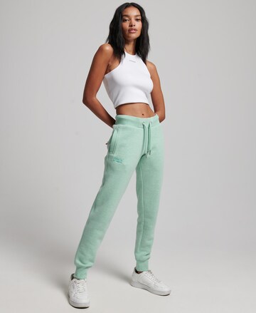 Superdry Tapered Workout Pants in Green