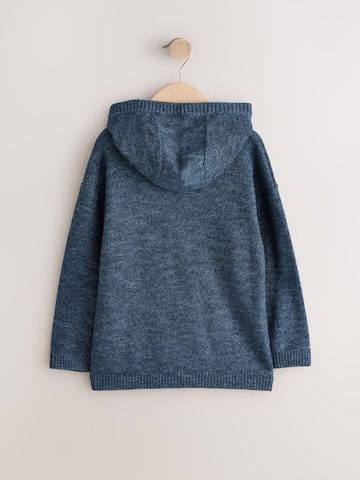 Next Sweater in Blue