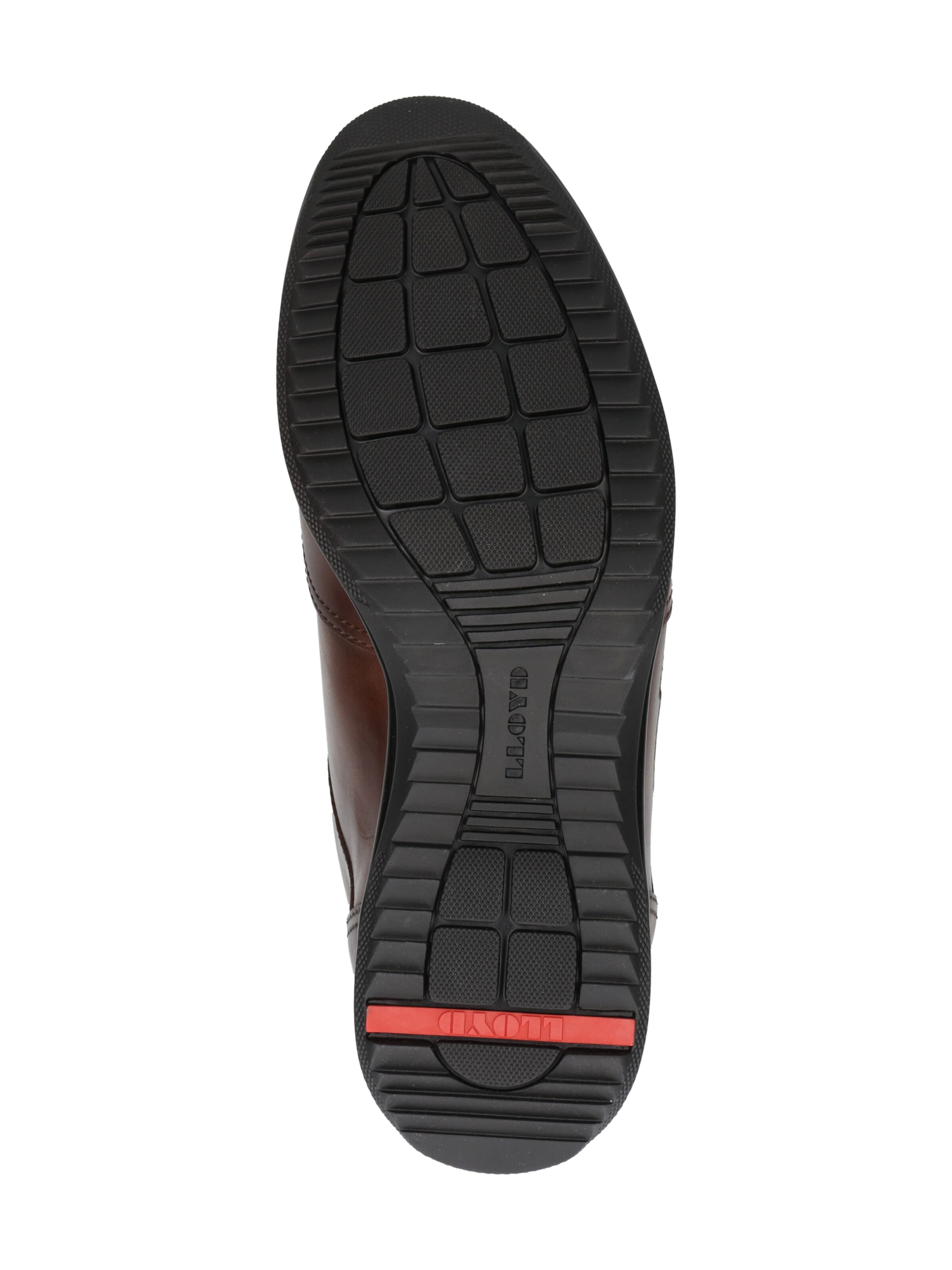 LLOYD Schnürschuh 'Vernon' in Braun