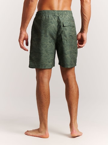PROTEST Swimming shorts 'PRTAcorn' in Green