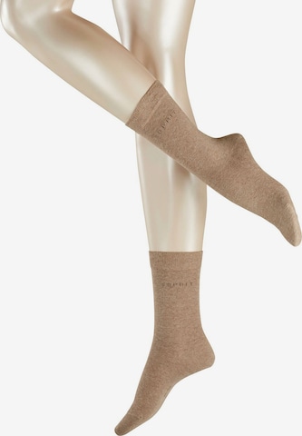 ESPRIT Socks in Beige: front