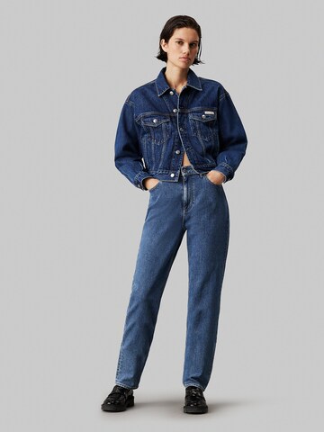 Calvin Klein Jeans Regular Jeans in Blau
