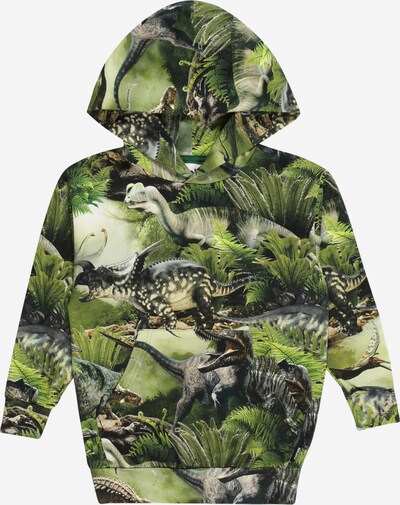 Molo Sweater majica u siva / zelena / crna, Pregled proizvoda