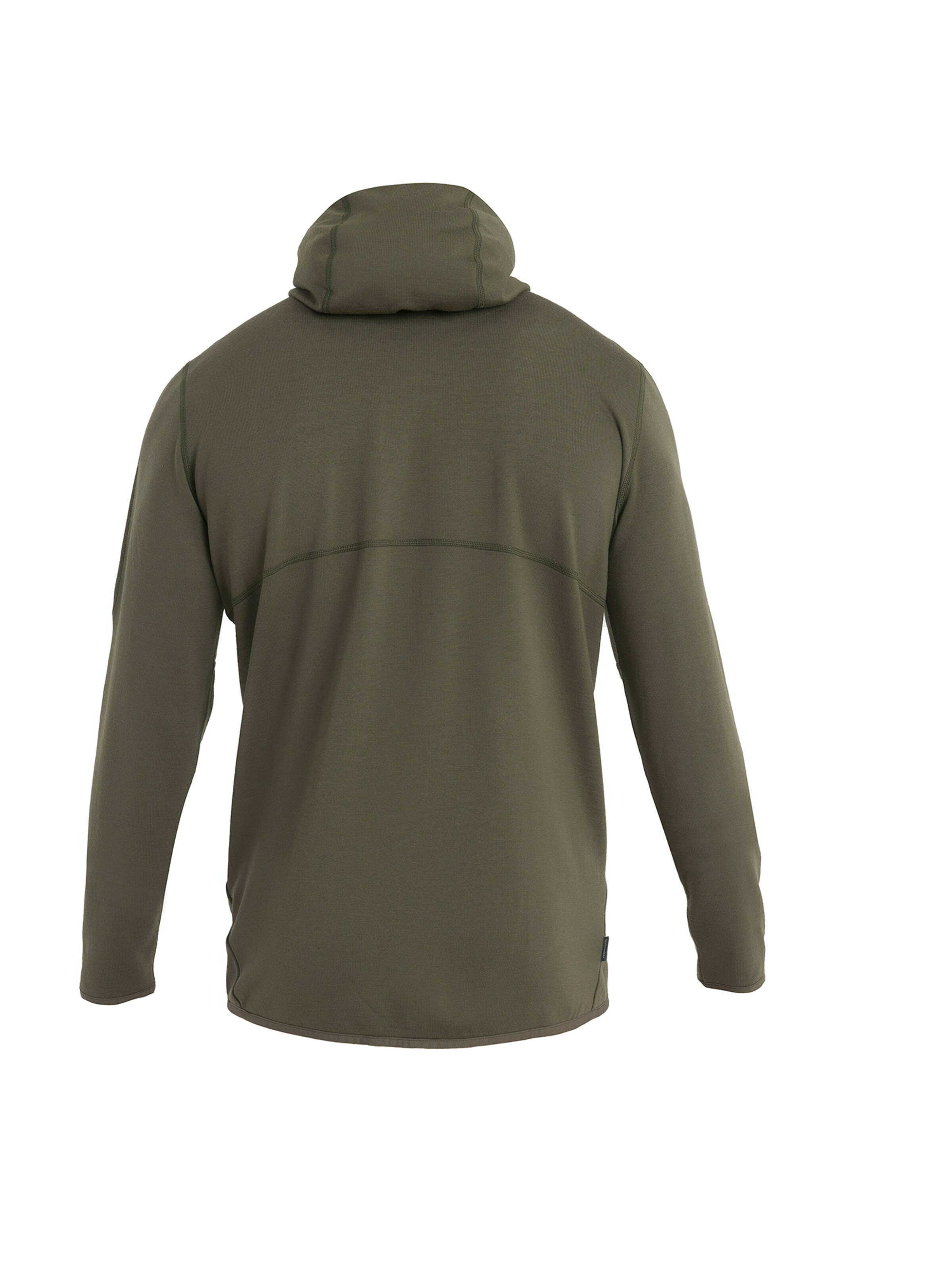 ICEBREAKER Zip-Up Hoodie 'Mer 560 Realfleece EleMtal II' in Green