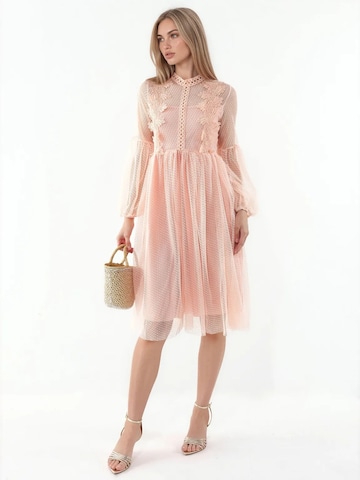 MSN Collection Cocktailjurk in Roze