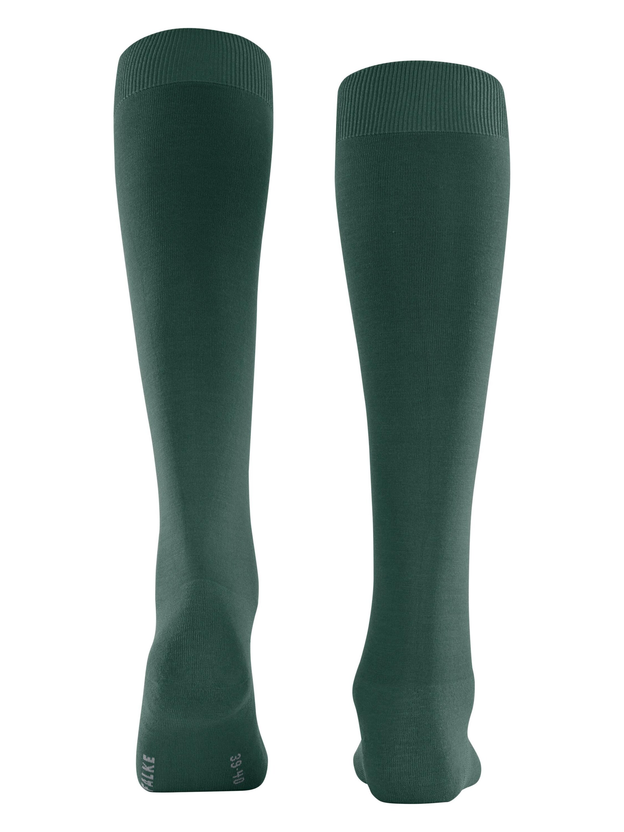 FALKE Knee High Socks 'ClimaWool' in Green