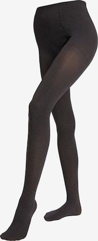 CALZEDONIA Strumpfhose in Grau: predná strana