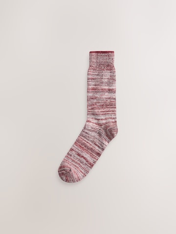 Next Socks in Mixed colors