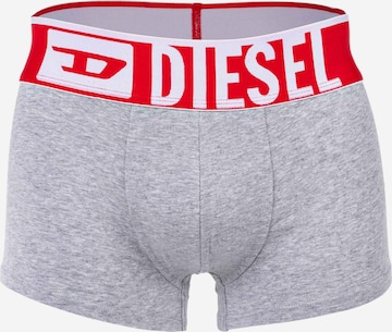 DIESEL Boxer shorts in Grey
