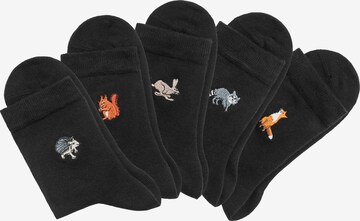 H.I.S Socken in Schwarz: predná strana