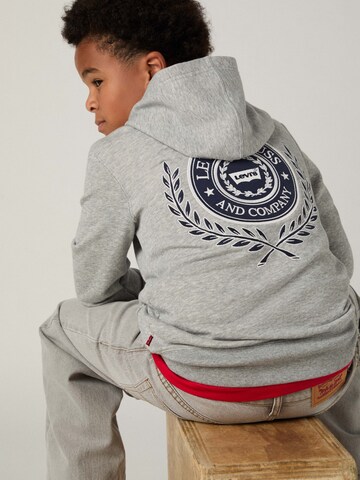 Felpa di Levi's Kids in grigio: frontale