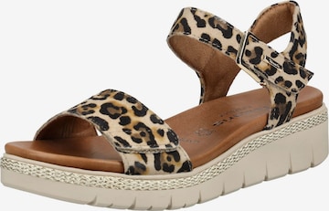 Sandalo di Tamaris in marrone: frontale