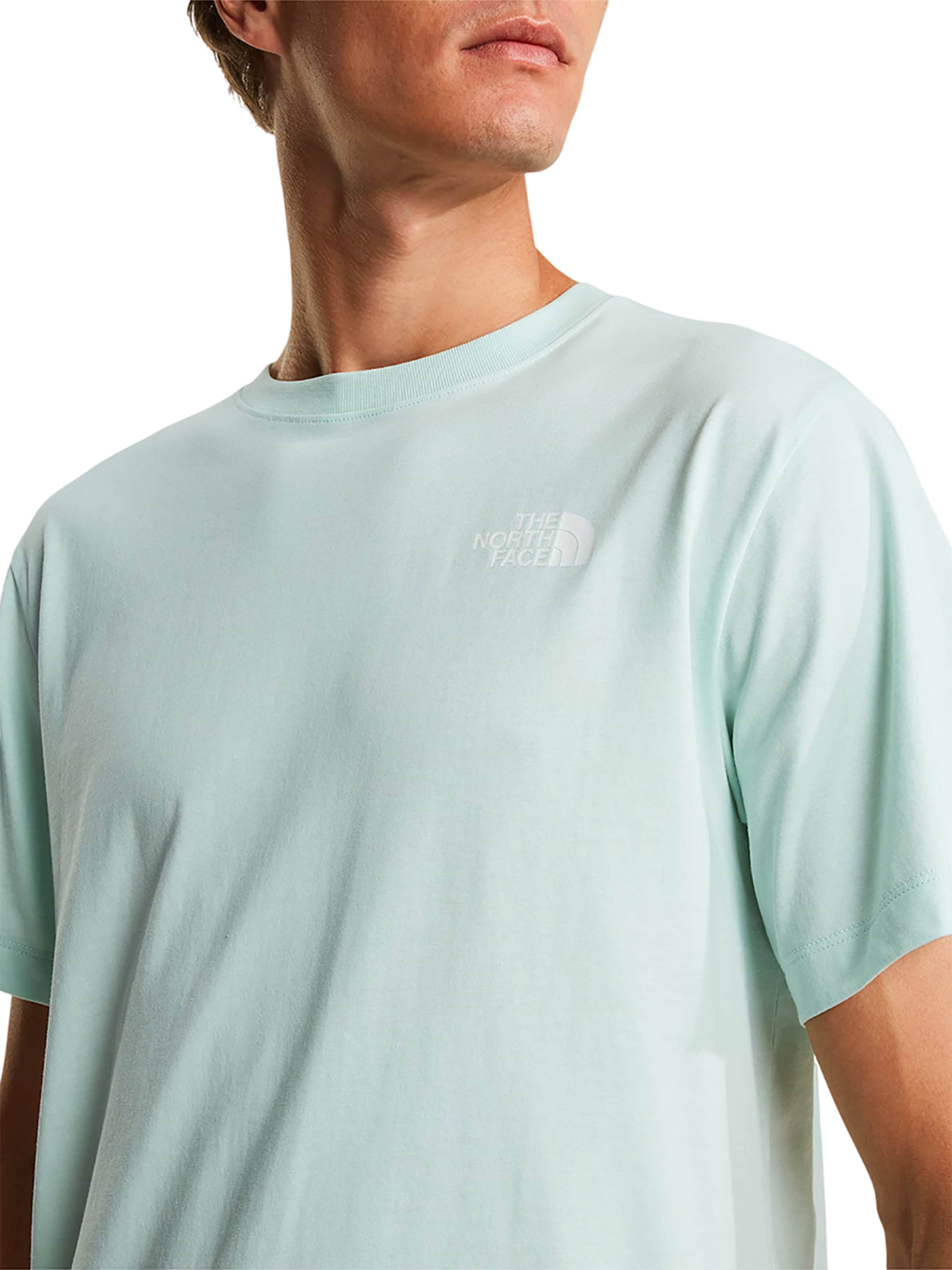 THE NORTH FACE Shirt 'Evolution Box NSE Regular' in Blue