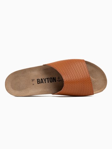 Mule 'Ventura' Bayton en marron