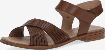 CAPRICE Strap Sandals in Brown: front