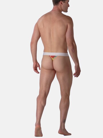 WOH Slip ' Sexy Fun ' in Gemengde kleuren