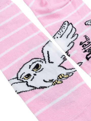 Harry Potter Socks 'Hedwig Hogwarts' in Mixed colors