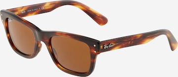 Ray-Ban Sunglasses '0RB2283' in Brown: front