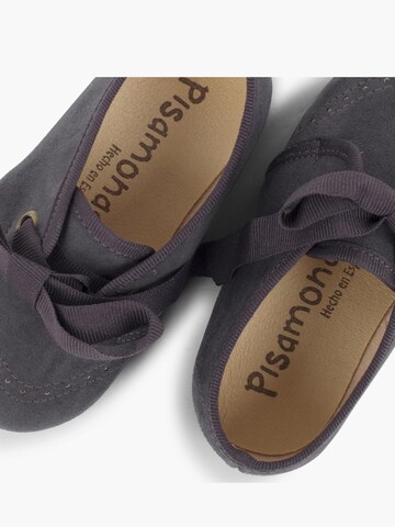 Pisamonas Polobotky – šedá