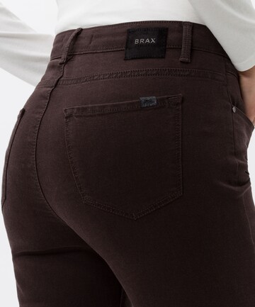 BRAX Regular Jeans 'Shakira' in Brown