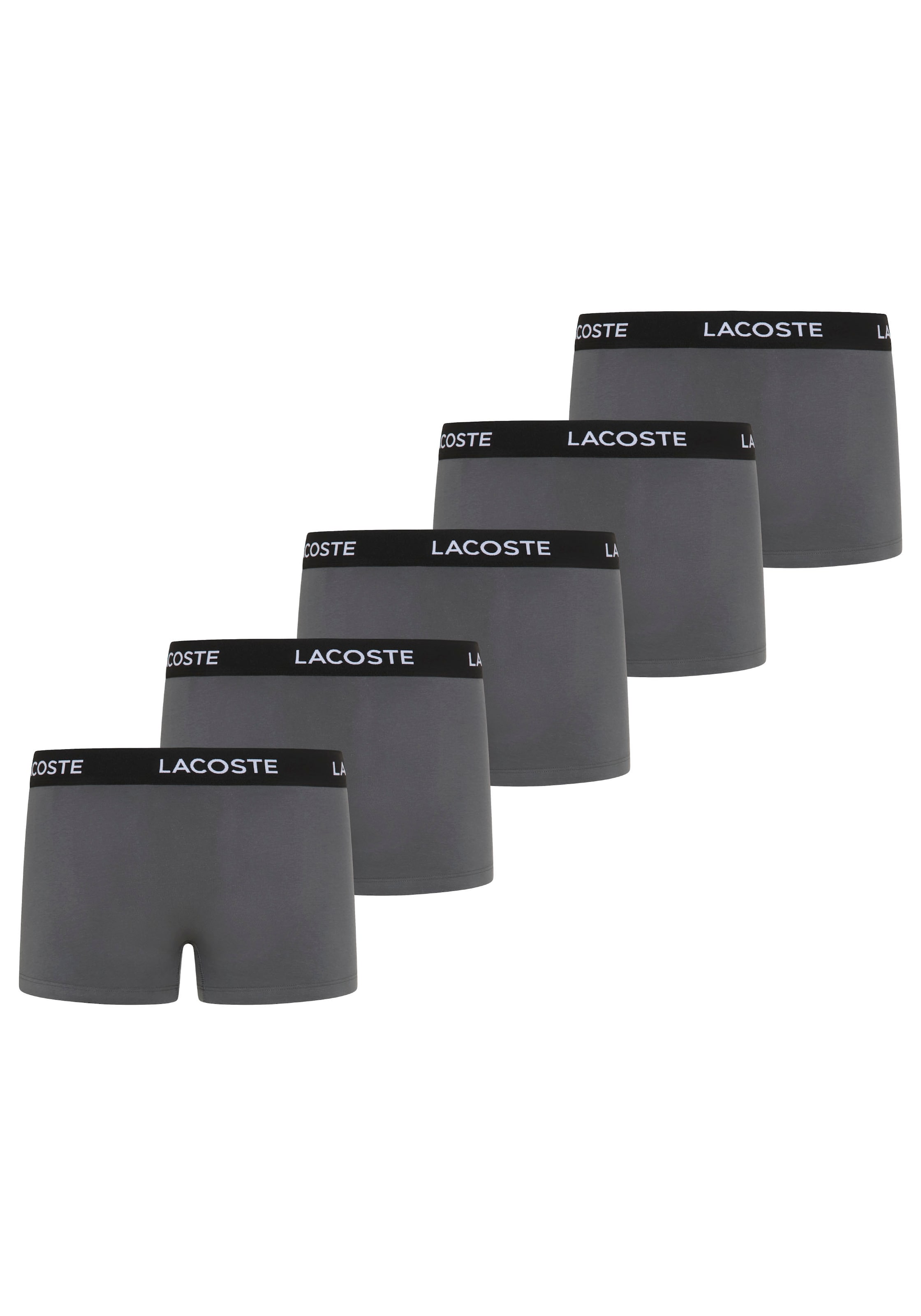 LACOSTE Boxer shorts in Grey: front