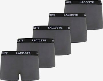 LACOSTE Boxer shorts in Grey: front