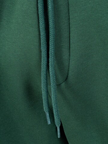 Smilodox Regular Broek in Groen