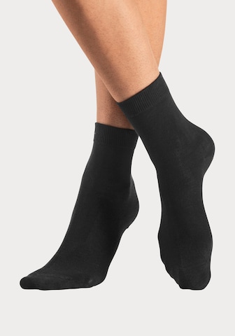 LASCANA Socks in Black