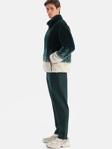 žalia Dagi Flisinis džemperis