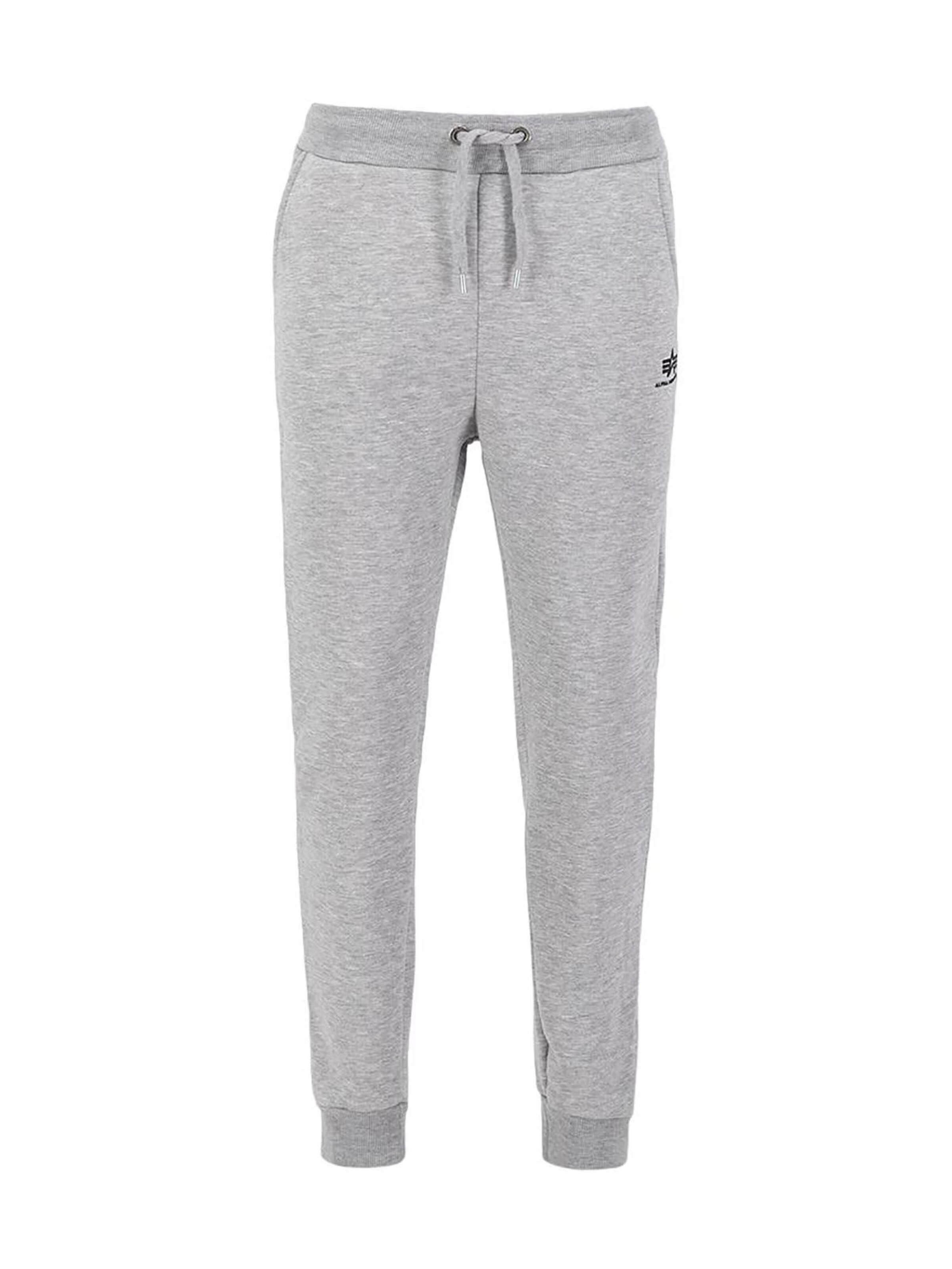 ALPHA INDUSTRIES Regular Pants 'Basic' in Grey: front