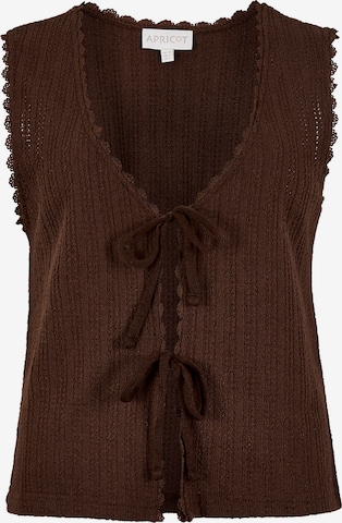 Apricot Janker ' ' in Brown: front
