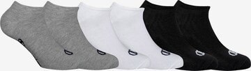 Champion Authentic Athletic Apparel Socken in Mischfarben: predná strana