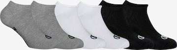 Champion Authentic Athletic Apparel Athletic Socks in Mixed colors: front