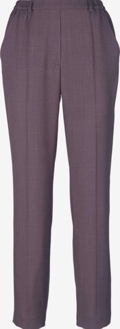 Goldner Regular Pleated Pants in Brown: front