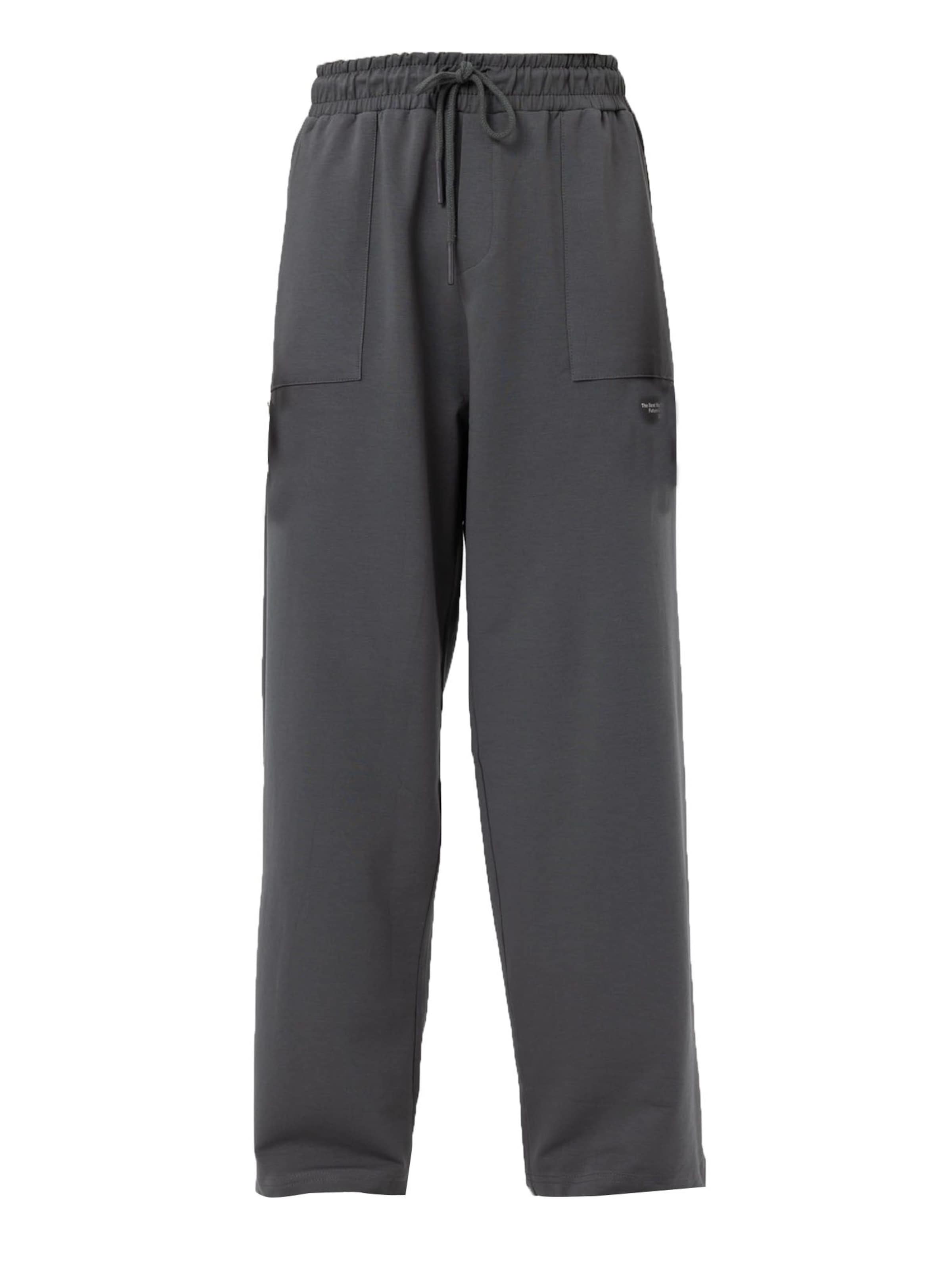 Loosefit Pantaloni di VAMOS CLO in grigio: frontale