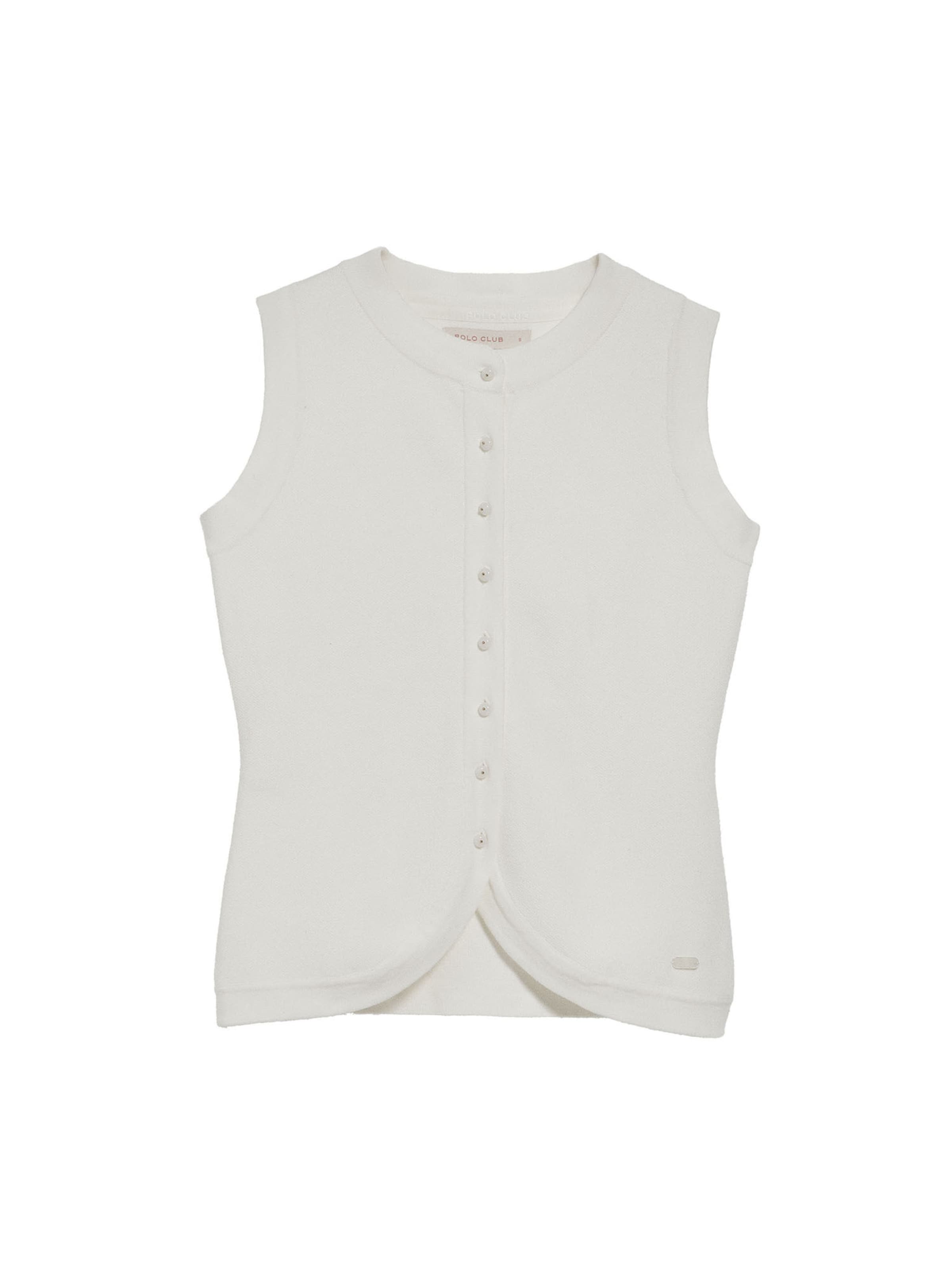 Polo Club Pullover in Beige: Vorderseite