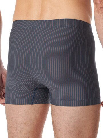 SCHIESSER Boxer shorts 'Pure Micro' in Blue