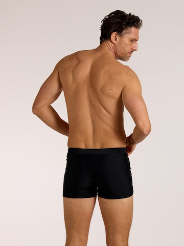 wavebreaker Swim Trunks in Mixed colors
