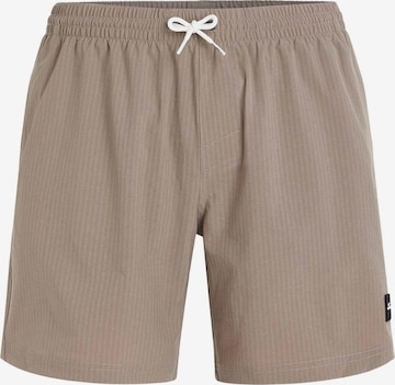 Pantaloncini da bagno di O'NEILL in marrone: frontale